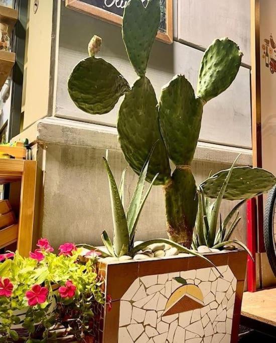Appartamento La Casa Di Eva Palermo Esterno foto